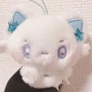 Cの画像