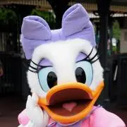 Daisy♡の画像