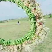 まめこの画像