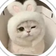 re_chan.11
