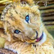 のっくす