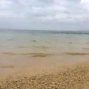 グラッシ