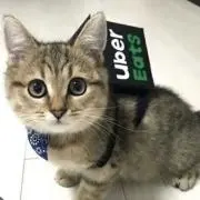 紅鮭の画像
