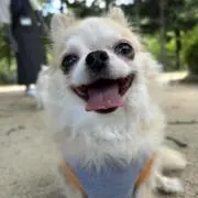 チワマル
