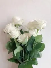 ルンルン✨の画像