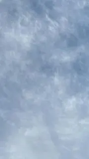 Yrの画像