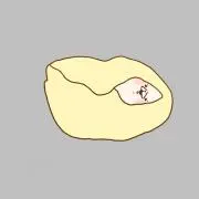 おん