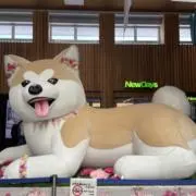トトロの画像