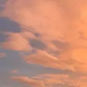 モフの画像