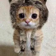 みこ