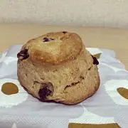 ココの画像