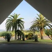 おもち