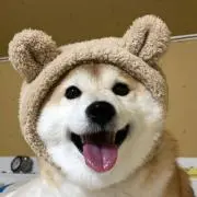 紫月