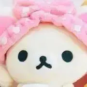 まとめ買いお値引き可能　ころねの画像