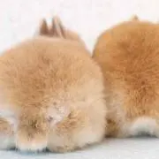 そらの画像