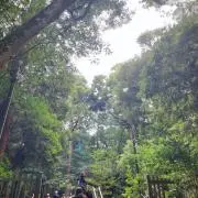 Rose Gardenの画像