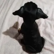 天　☆プロフをお読み下さい☆の画像