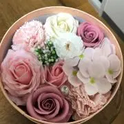 ゆきひめの画像