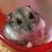 美友の画像