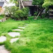 鮭とば一郎の画像