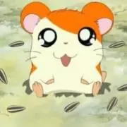 はーたんの画像