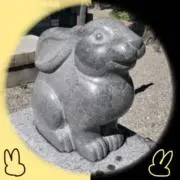 hinaの画像