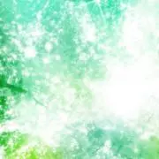 Ace
