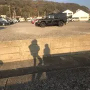 Vriの画像