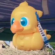 さおり　無言取引可能⭕の画像