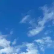 いちの画像