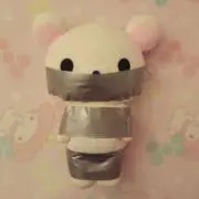 ぬの画像