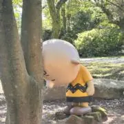 zomiの画像