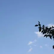 即購入OK