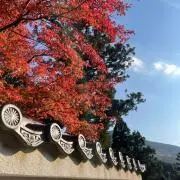 珠玥
