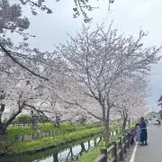 ともかの画像