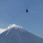 クオンパパの画像