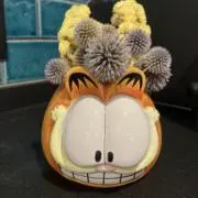 hacciの画像