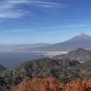 アンリスの画像