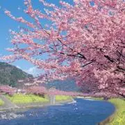 スカイブルーの画像