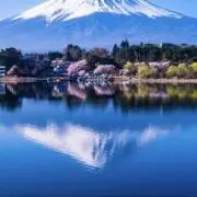 れがろの画像