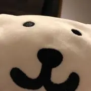ふどらの画像