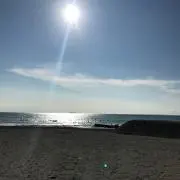 あちゃの画像