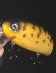 みっくん
