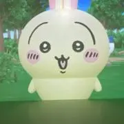ウラヤハリコの画像