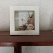 norinoriの画像