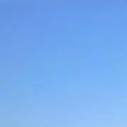 saaaiの画像