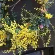 ペティの画像
