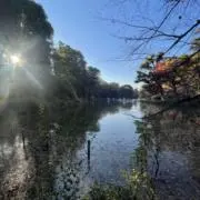 みみみの画像