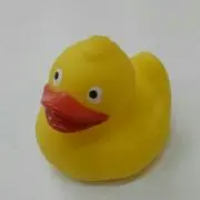 シマにゃんこ♥