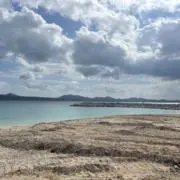 R꙳★*゜の画像
